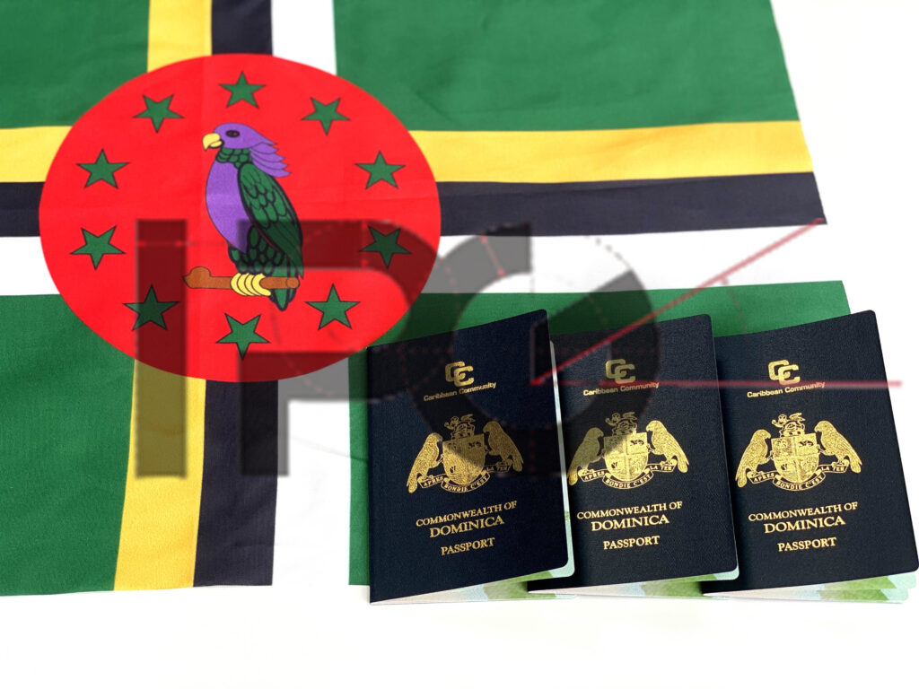 2023 Dominica client