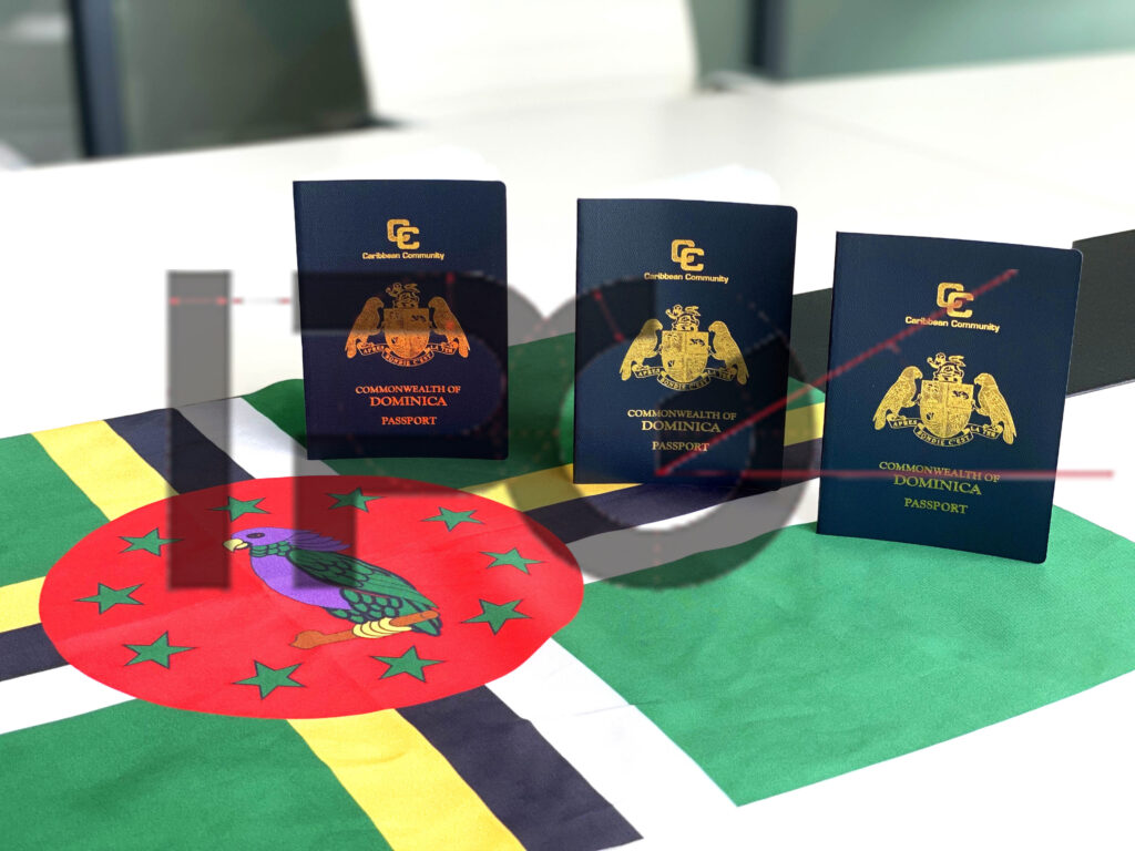 2023 Dominica client