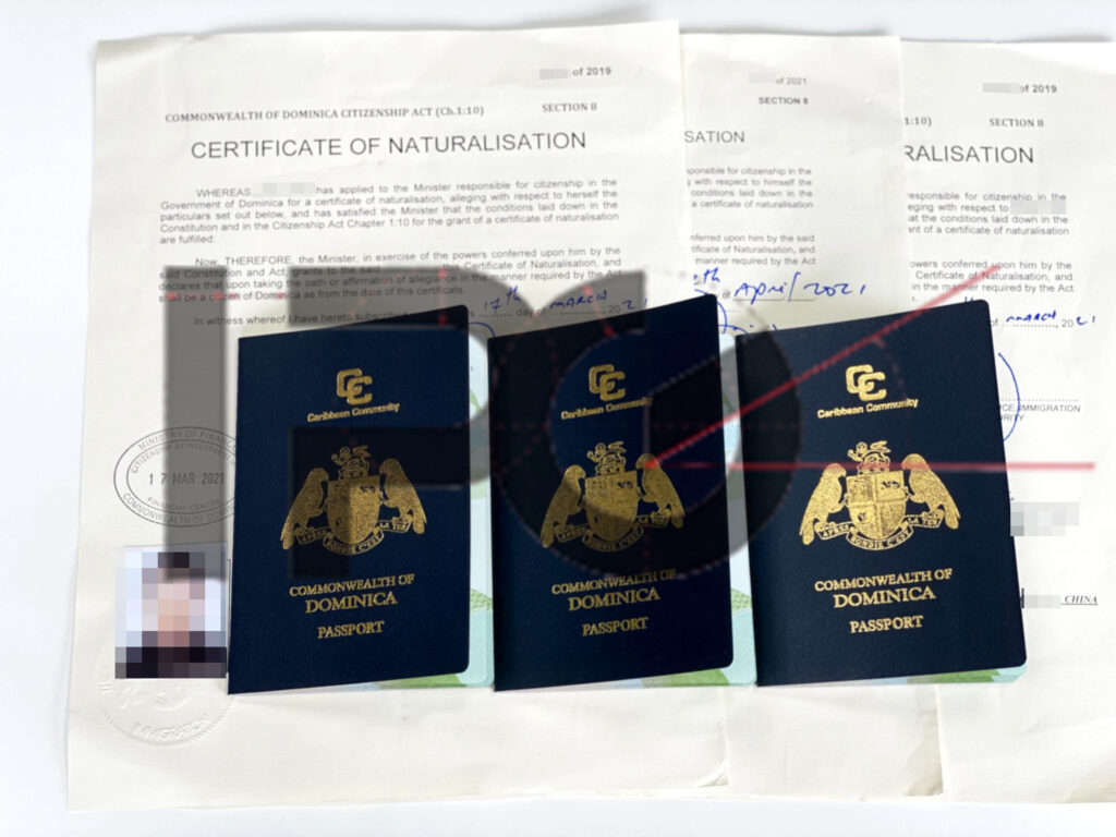2023 Dominica client